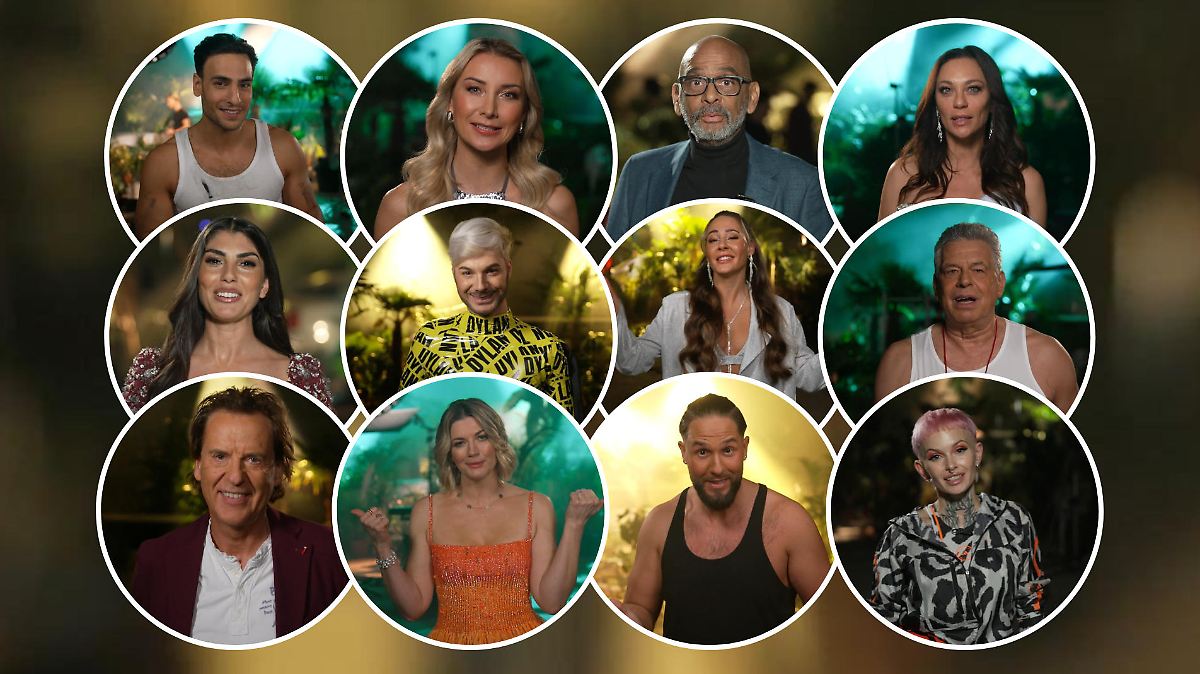  Dschungelcamp 2025: Wer sind die Begleiter? SIE stärken den Stars den Bildidee 